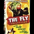 The Fly