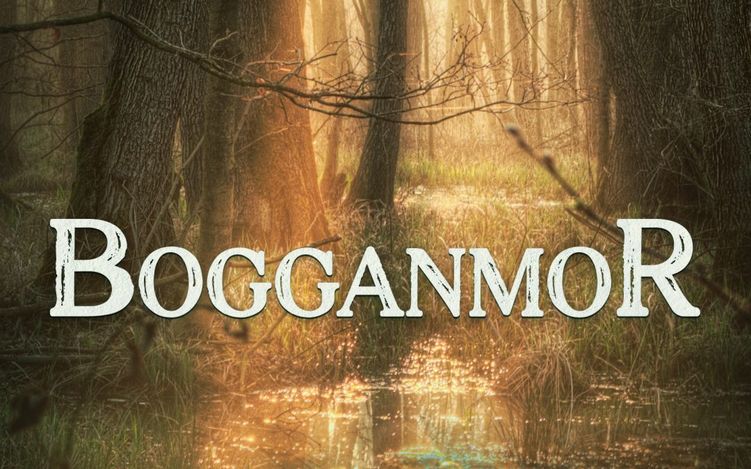 Book Review: BOGGANMOR